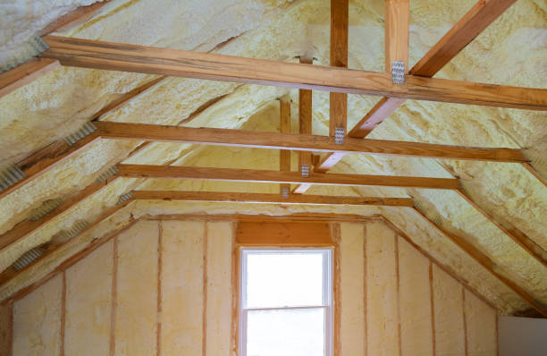 Best Cellulose Insulation in Strafford, MO
