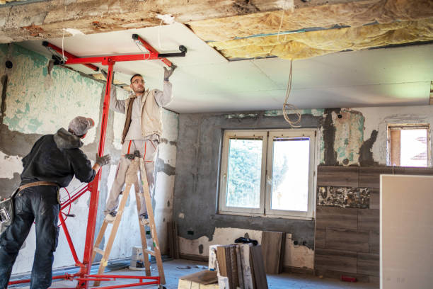 Best Eco-Friendly Insulation in Strafford, MO