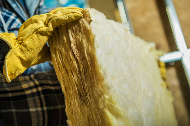 Best Commercial Insulation in Strafford, MO