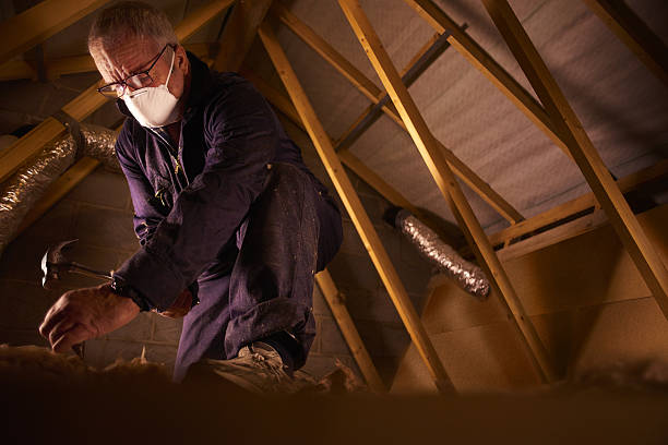 Best DIY Insulation Kits and Guidance in Strafford, MO